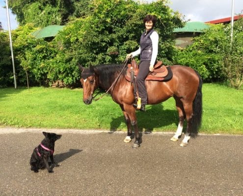 Hundespaziergang mit Pferd.jpg