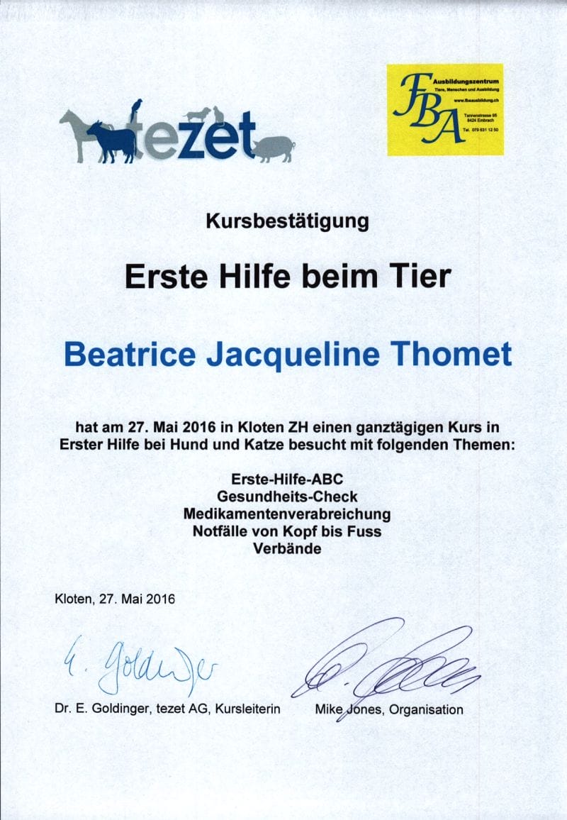 Erst Hilfe Zertifikat.jpg