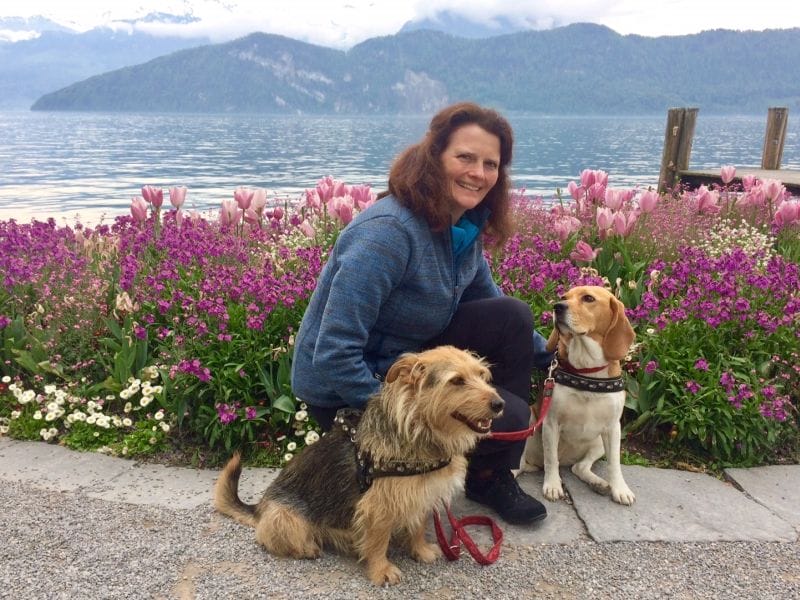Dogsitting am Vierwaldstättersee