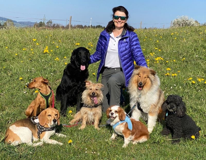 Rudel Dogsitting Thomet auf der Wiese