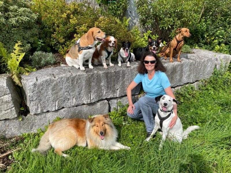 Rudel von Dogsitting Thomet